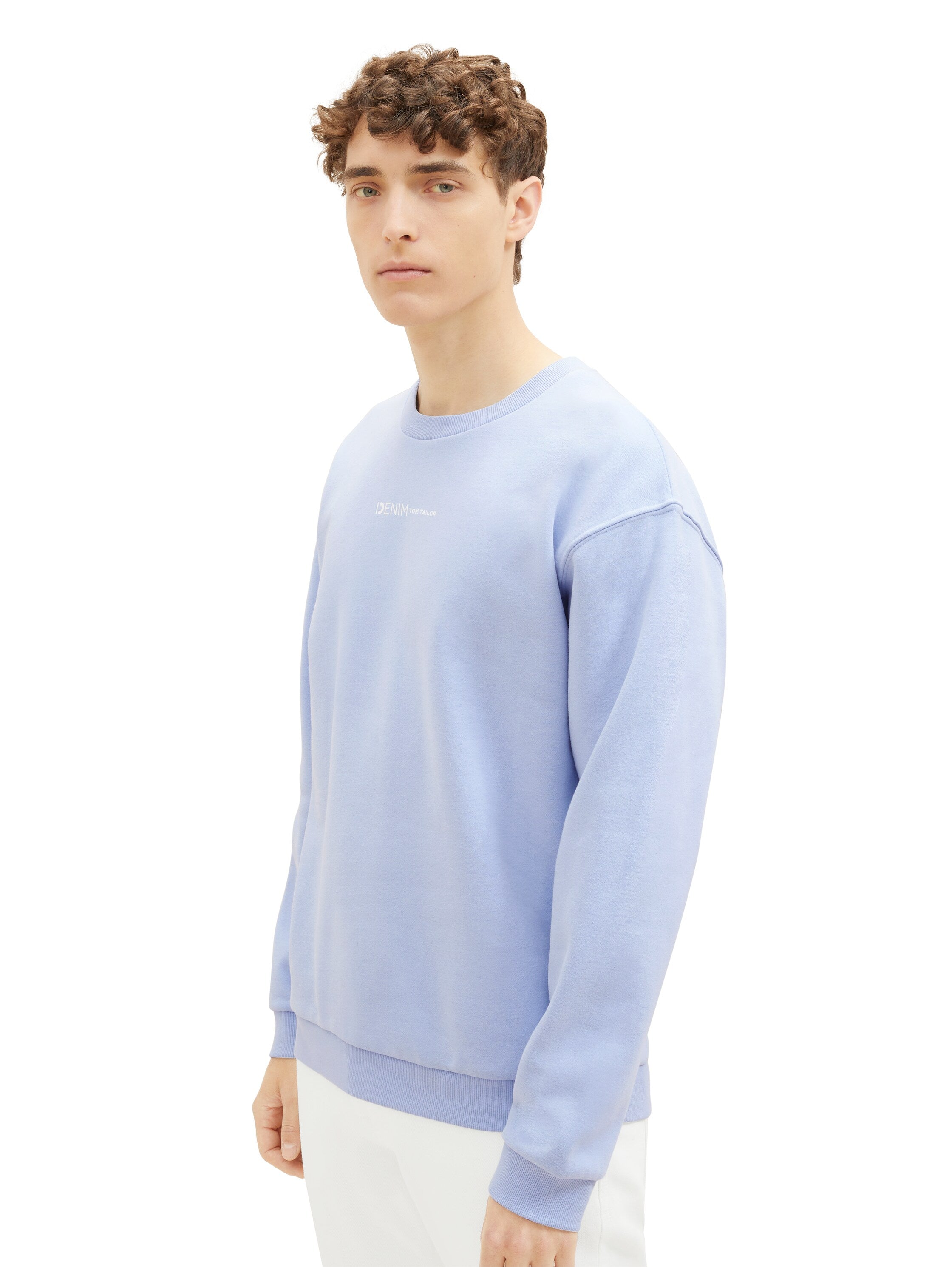 Tom Tailor Denim Langarmshirt Herren Basic Fit Logo Print Bio-Baumwolle