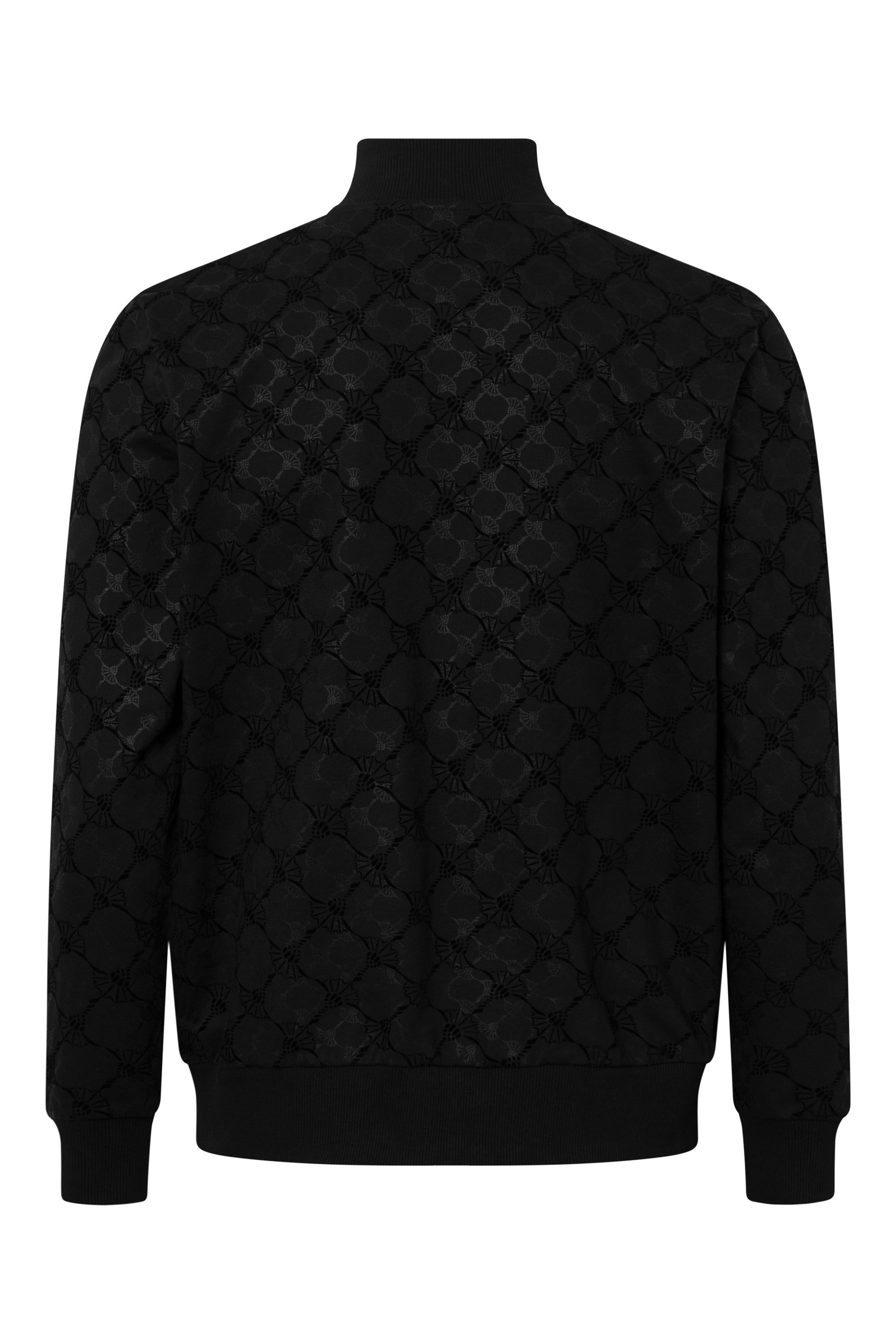 17 JJ-25Thierry 10018203