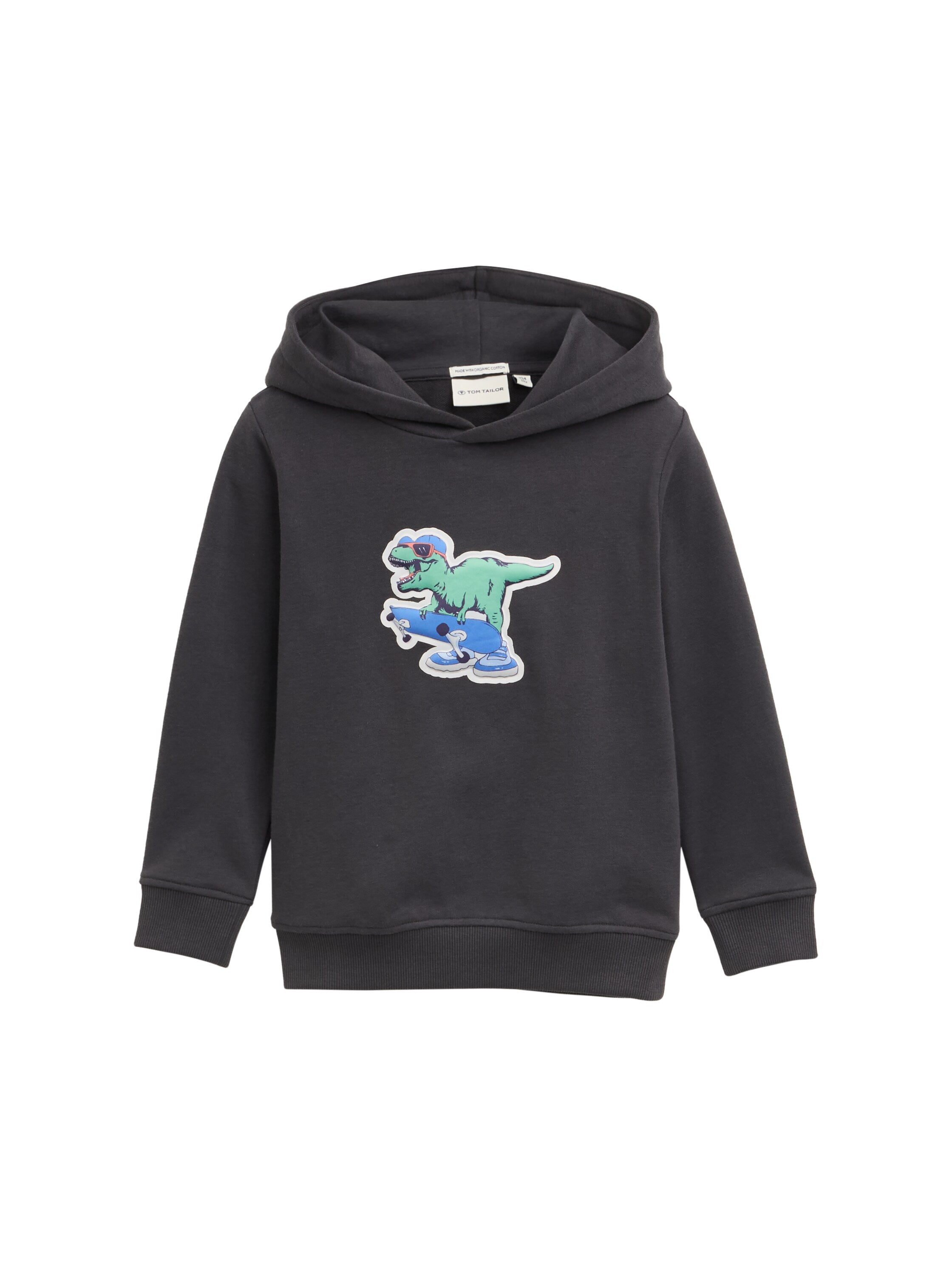 Tom Tailor Denim Hoodie Sweatshirt Kinder Männlich mit 3D-Dino-Print