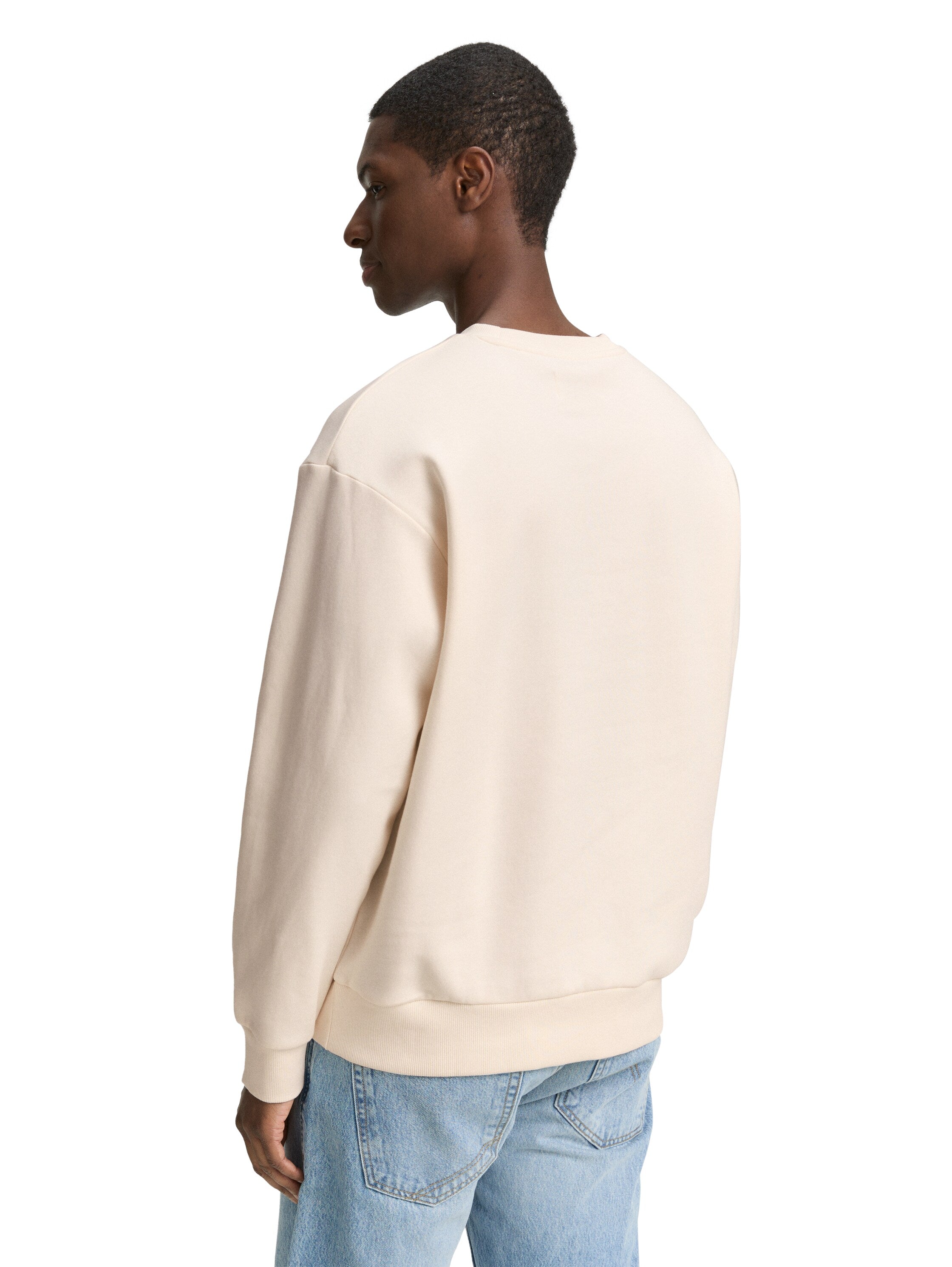 Tom Tailor Denim Crewneck Sweatshirt für Männer mit gestreiftem Print