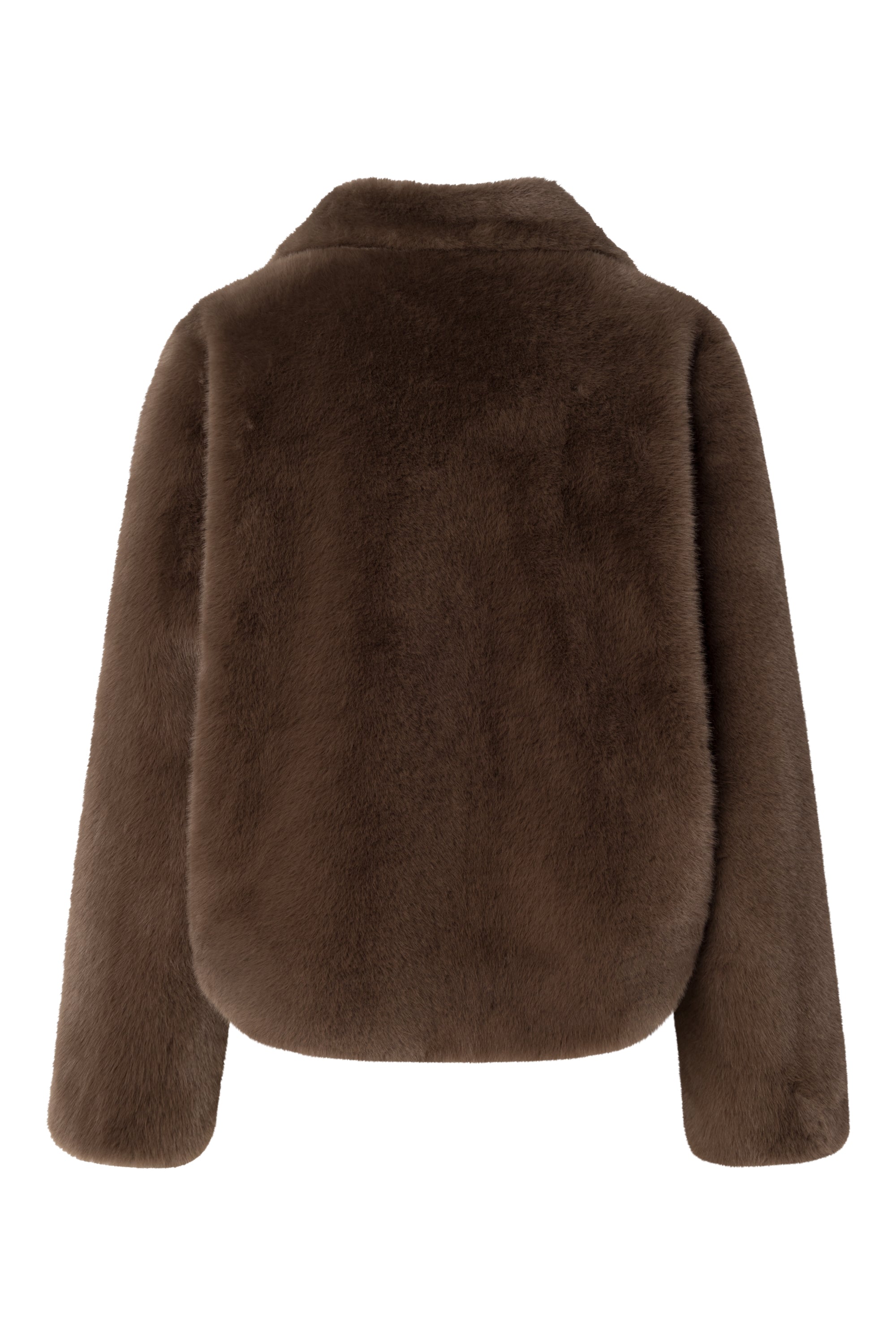 58 254O58Orsina 10020267