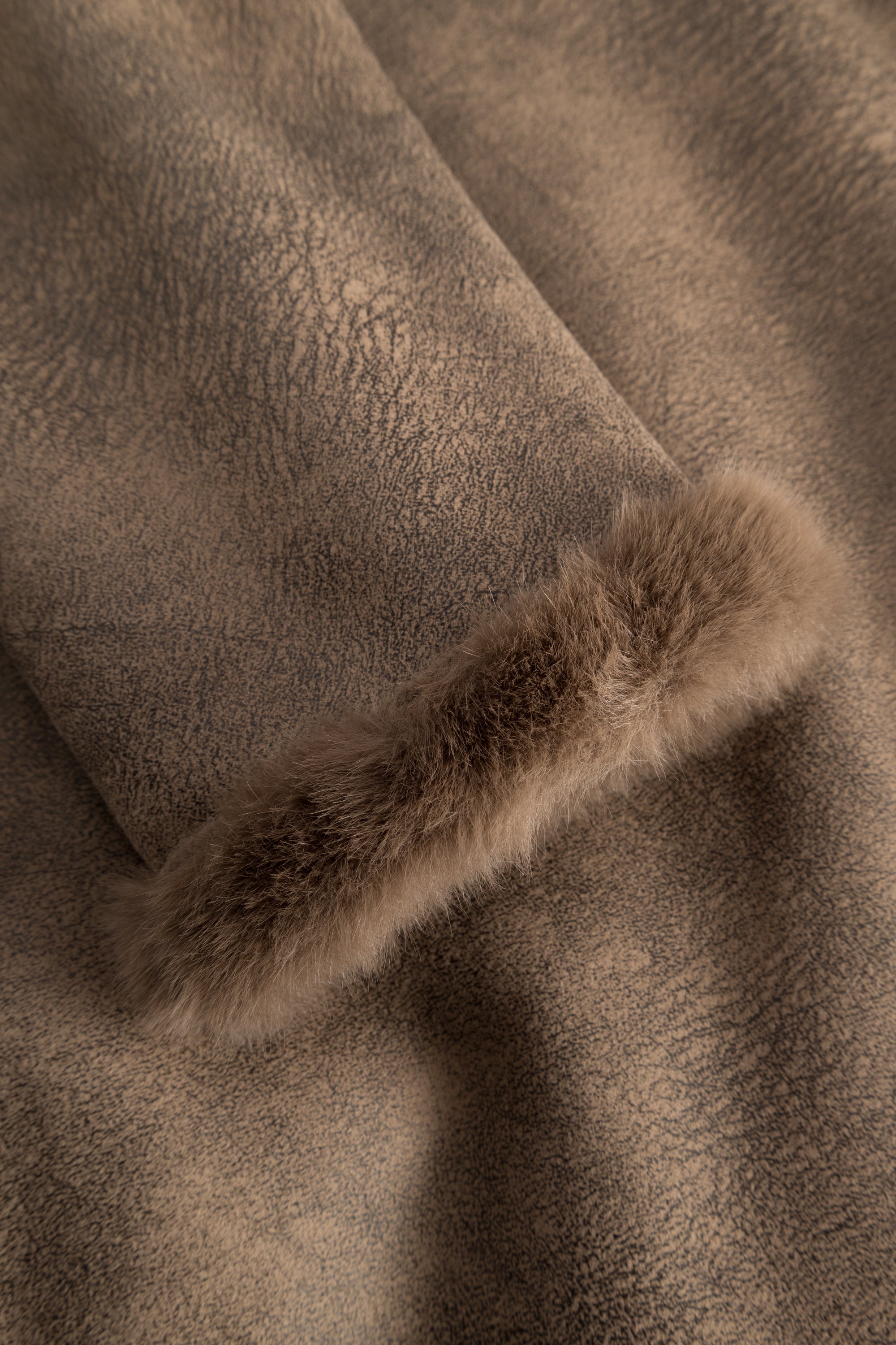 58 254O58Orsina 10020267