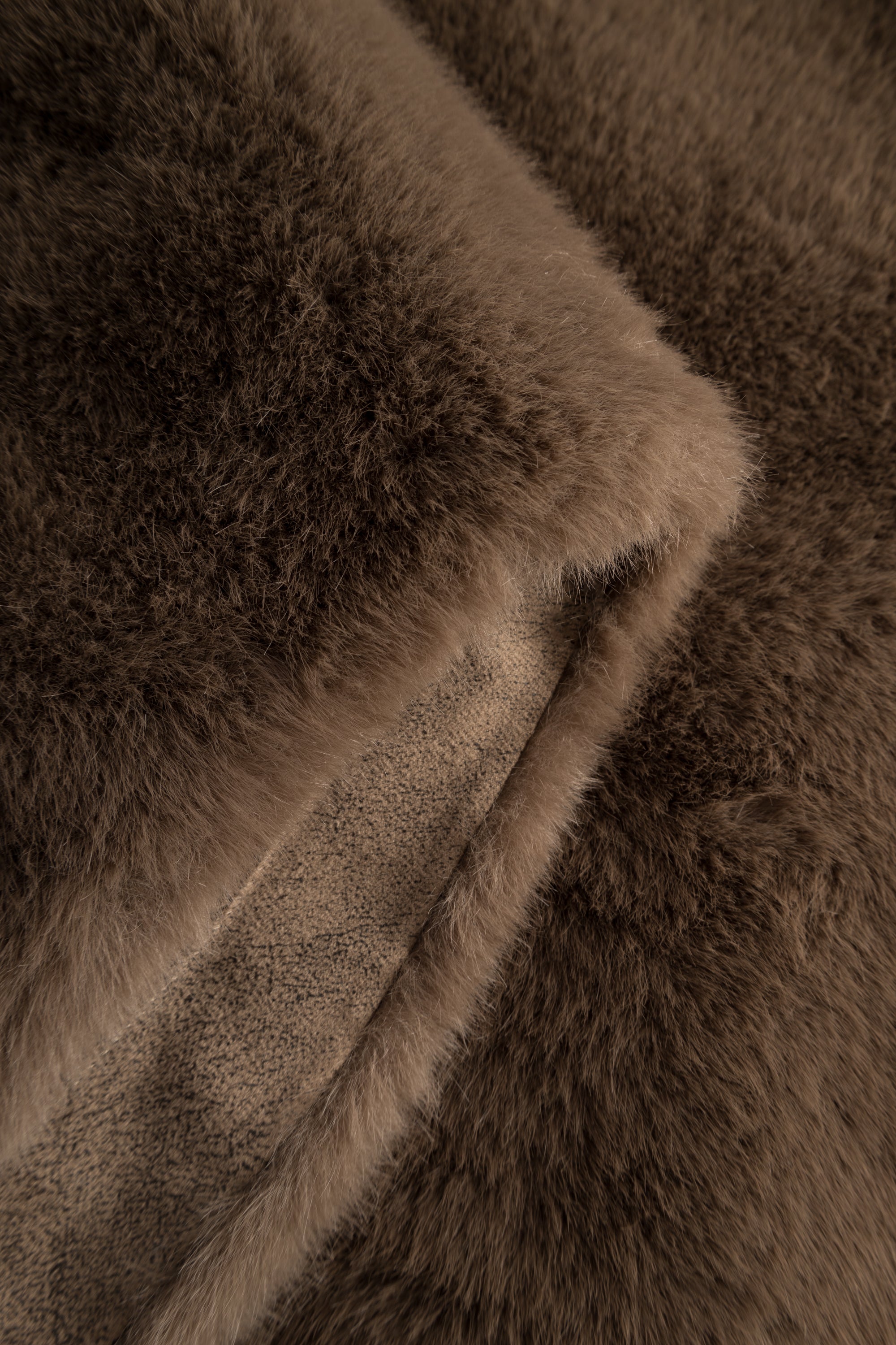 58 254O58Orsina 10020267