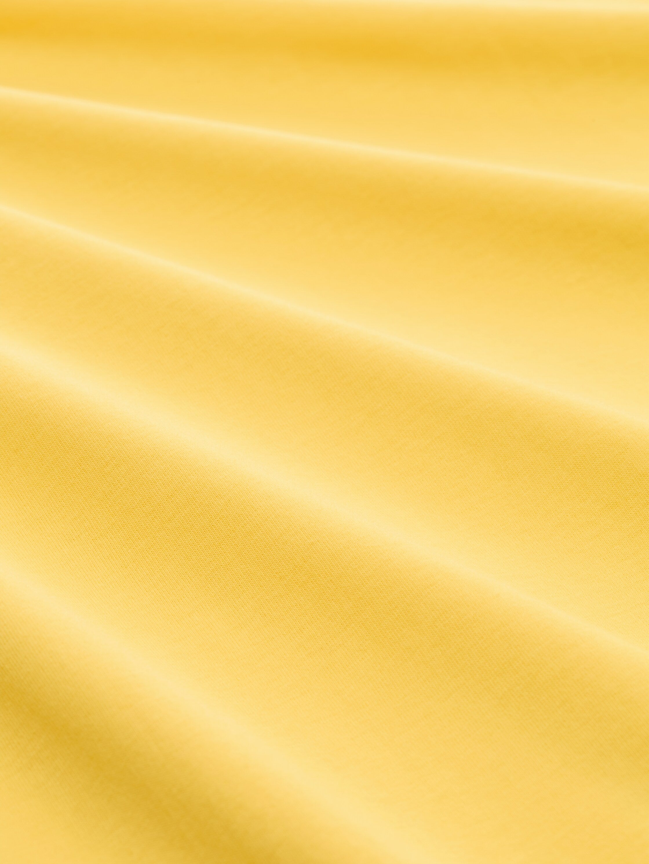 Tom Tailor Denim Male Longsleeve Badge Baumwolle