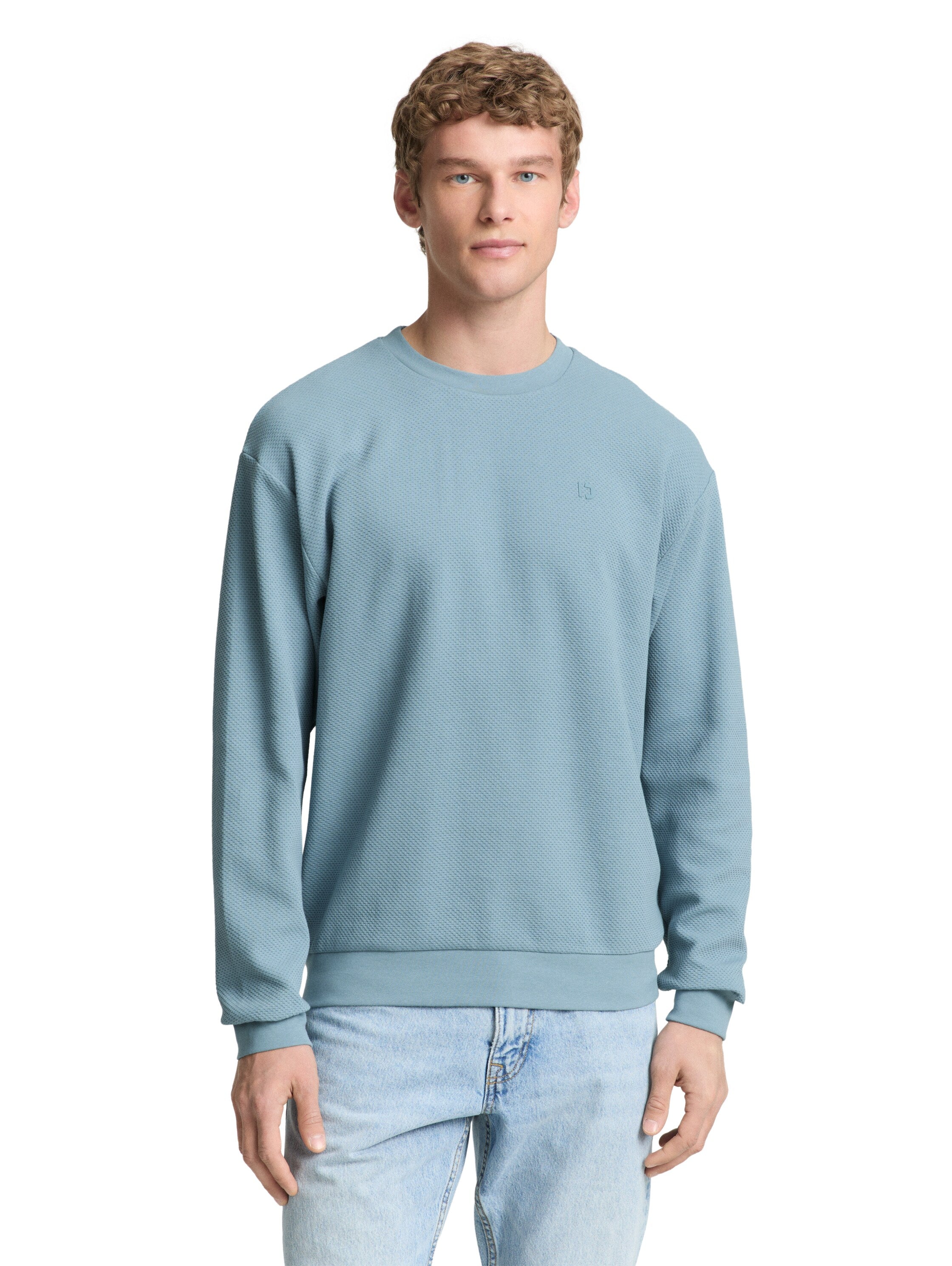 Tom Tailor Denim Herren Sweatshirt Logo Print Baumwolle