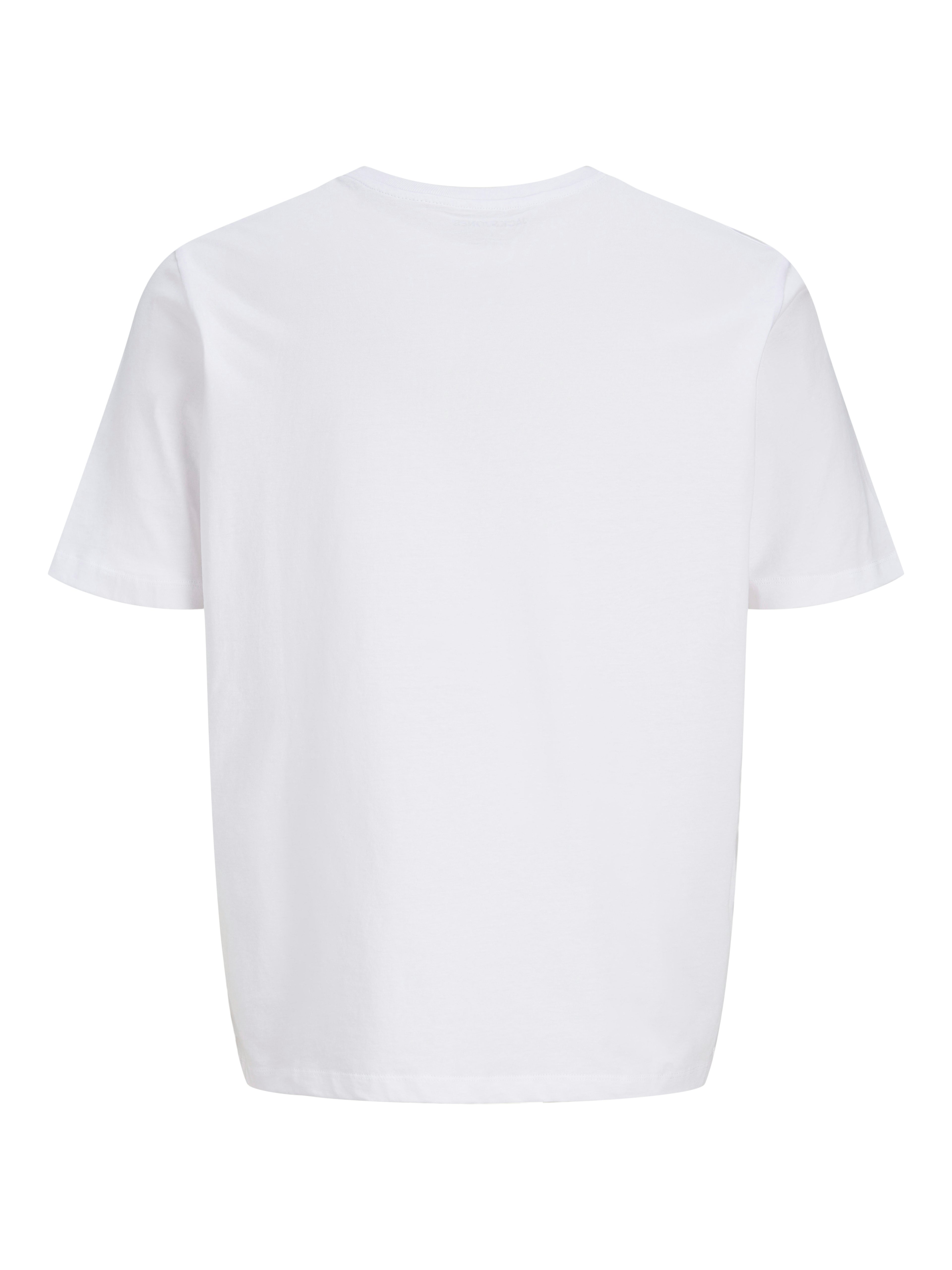 JJHONOLULU SHAPE TEE SS CREW NECK LN