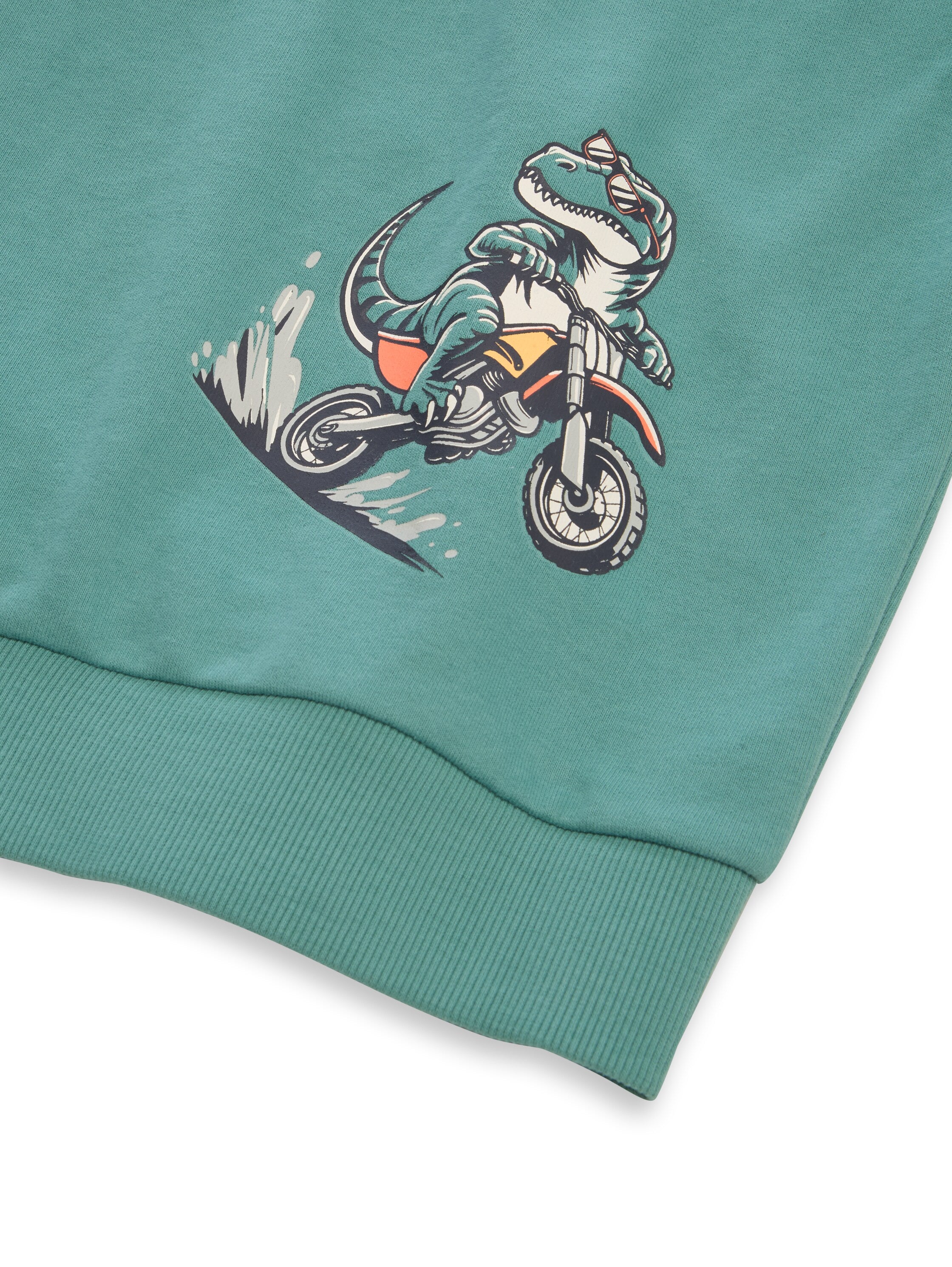 Hoodie Sweatshirt mit Rückenprint