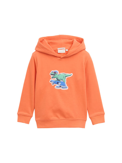 Tom Tailor Denim Hoodie Sweatshirt Kinder Männlich mit 3D-Dino-Print
