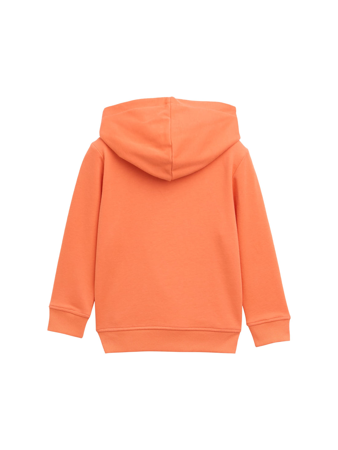 Tom Tailor Denim Hoodie Sweatshirt Kinder Männlich mit 3D-Dino-Print