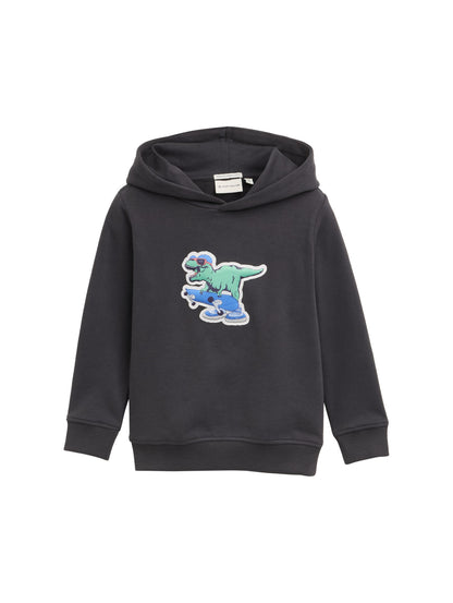 Tom Tailor Denim Hoodie Sweatshirt Kinder Männlich mit 3D-Dino-Print