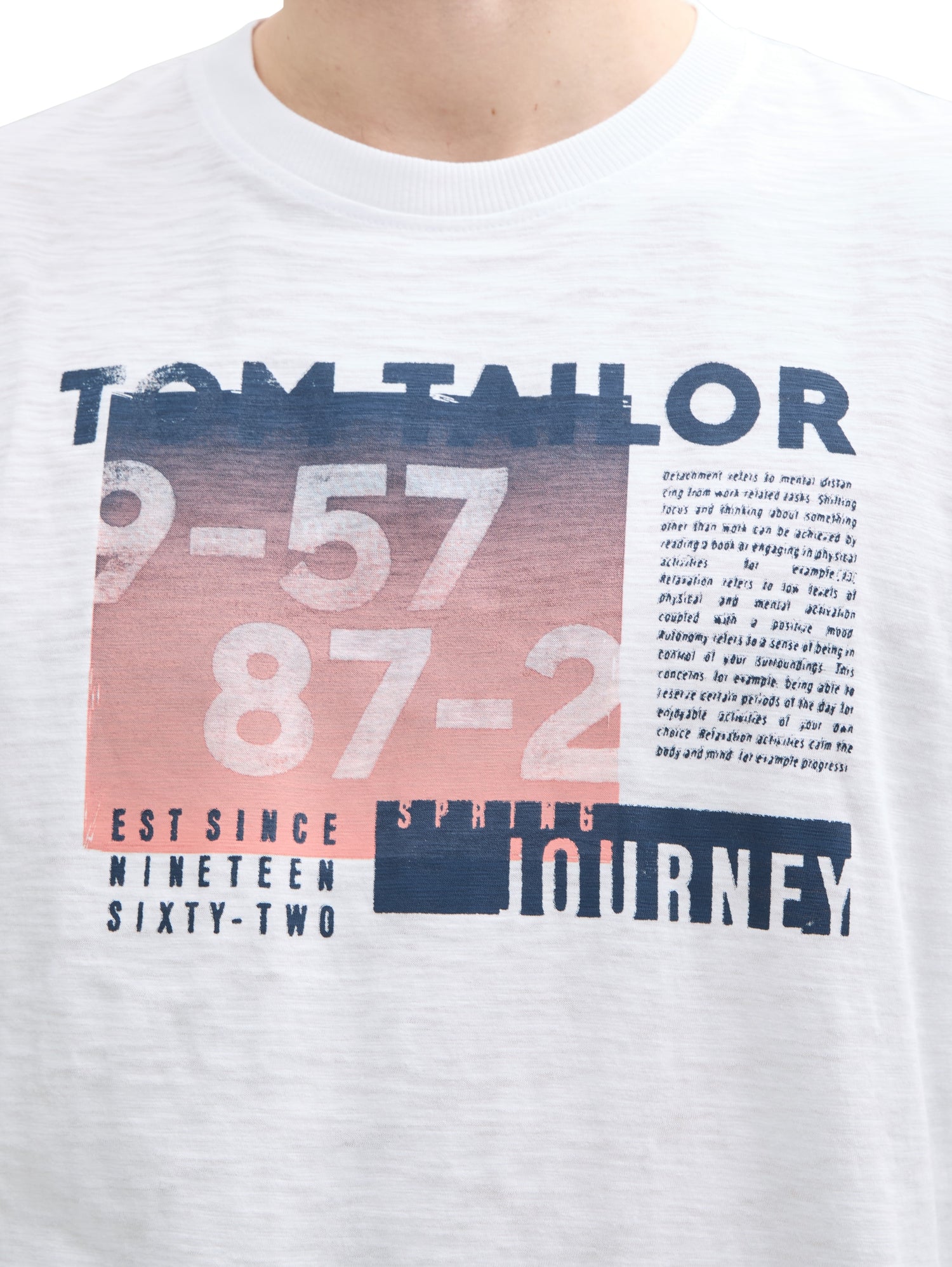 Tom Tailor Denim T-Shirt Erwachsene Männlich mit verschiedenen Print-Varianten