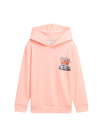 Tom Tailor Denim Sweatshirt mit Kapuze Kinder Print