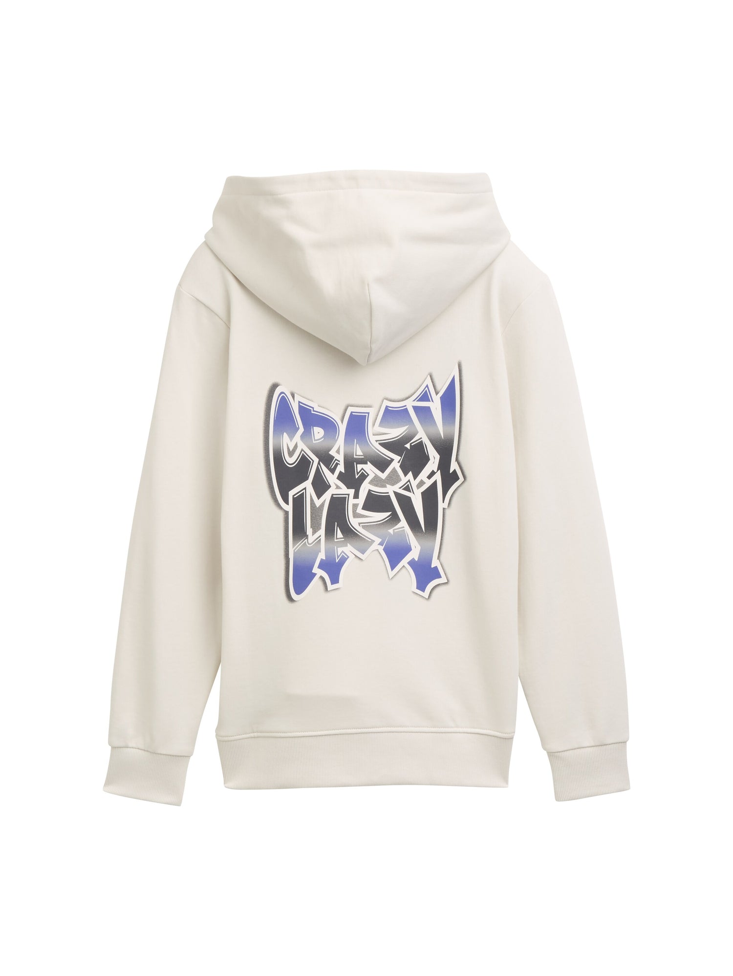Tom Tailor Denim Kinder Hoodie Sweatshirt Männlich mit Rückenprint und Kängurutasche