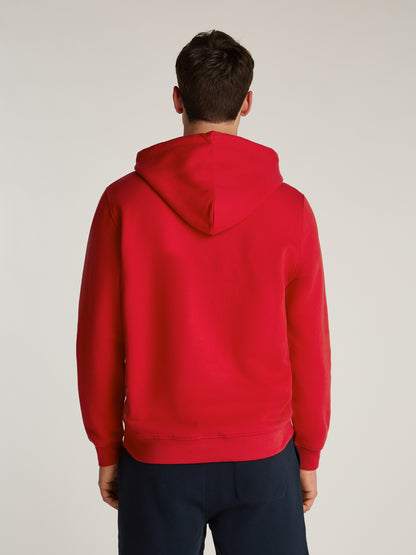 Theur Hoodie für Herren - Bequem und stylisch
