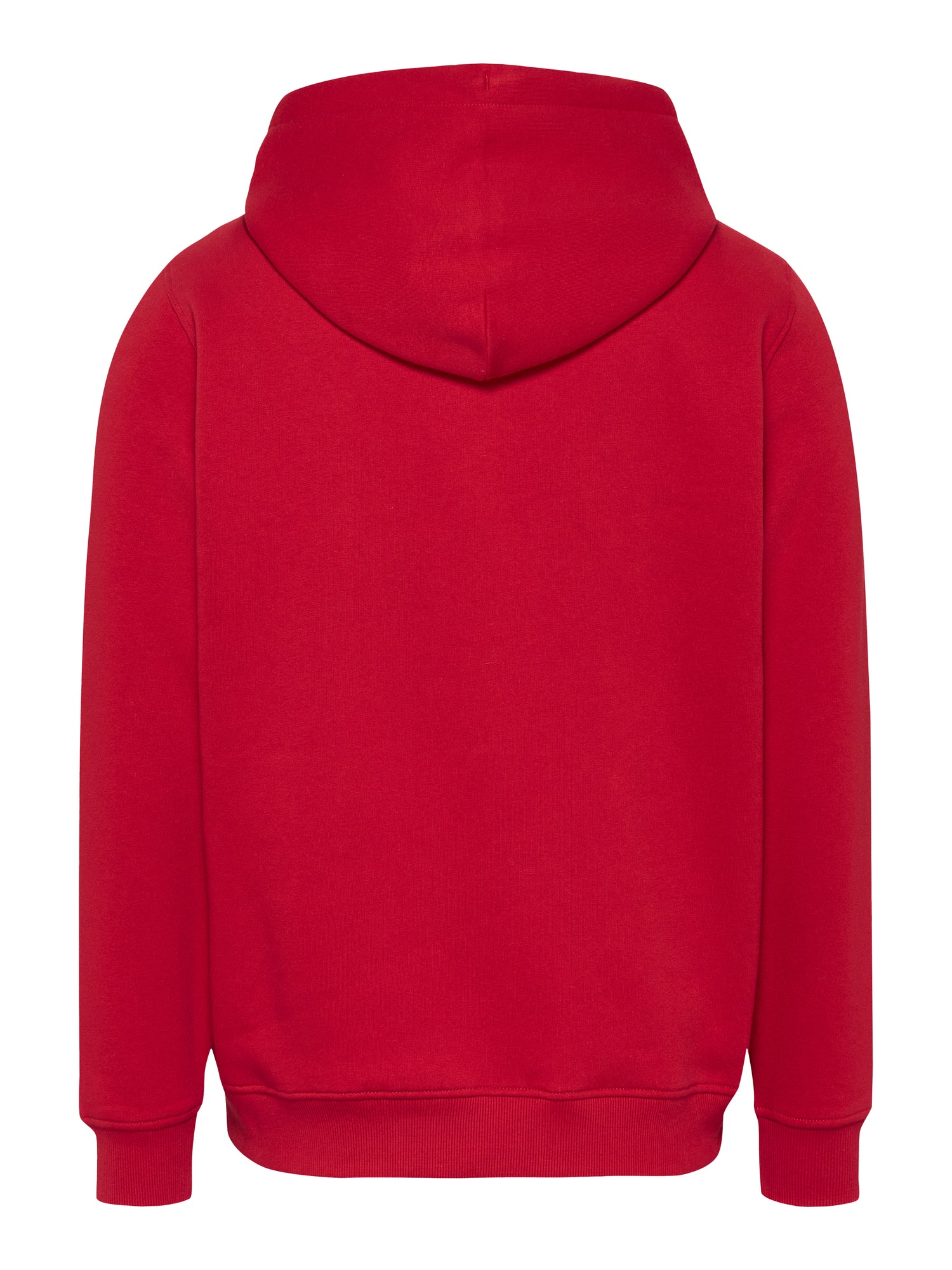 Theur Hoodie für Herren - Bequem und stylisch
