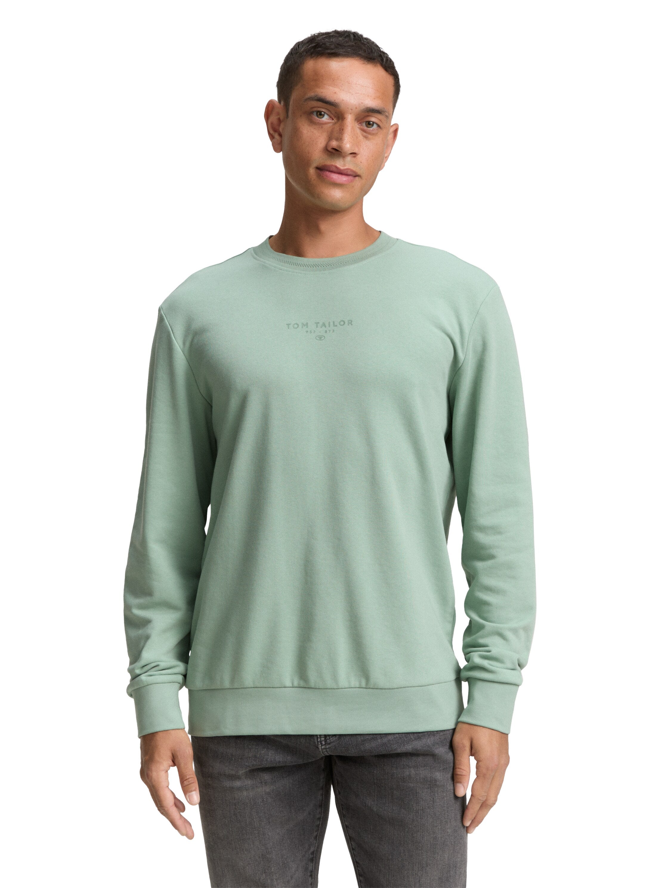 Tom Tailor Denim Crewneck Sweatshirt Herren Logo-Print