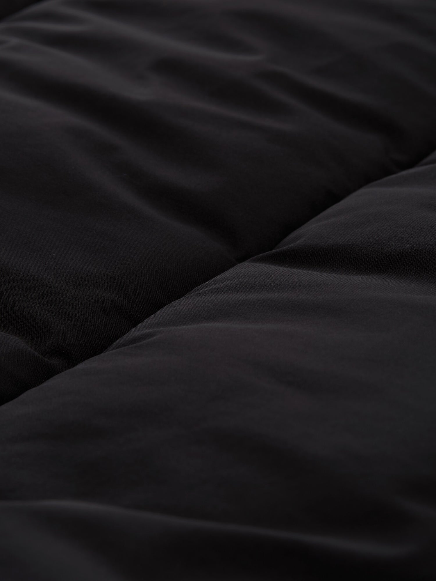 Winterjacke Herren Relaxed Fit Stehkragen Logo Stickerei Polyester