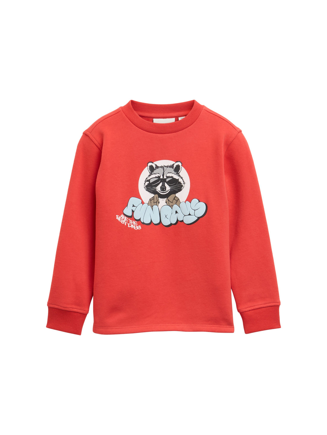 Sweatshirt mit Waschbär-Print