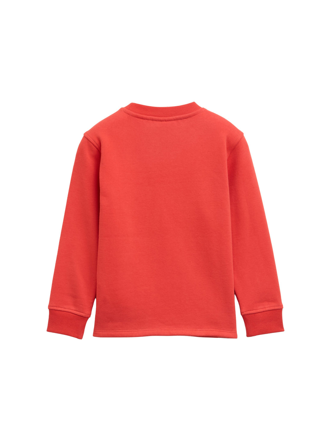 Sweatshirt mit Waschbär-Print