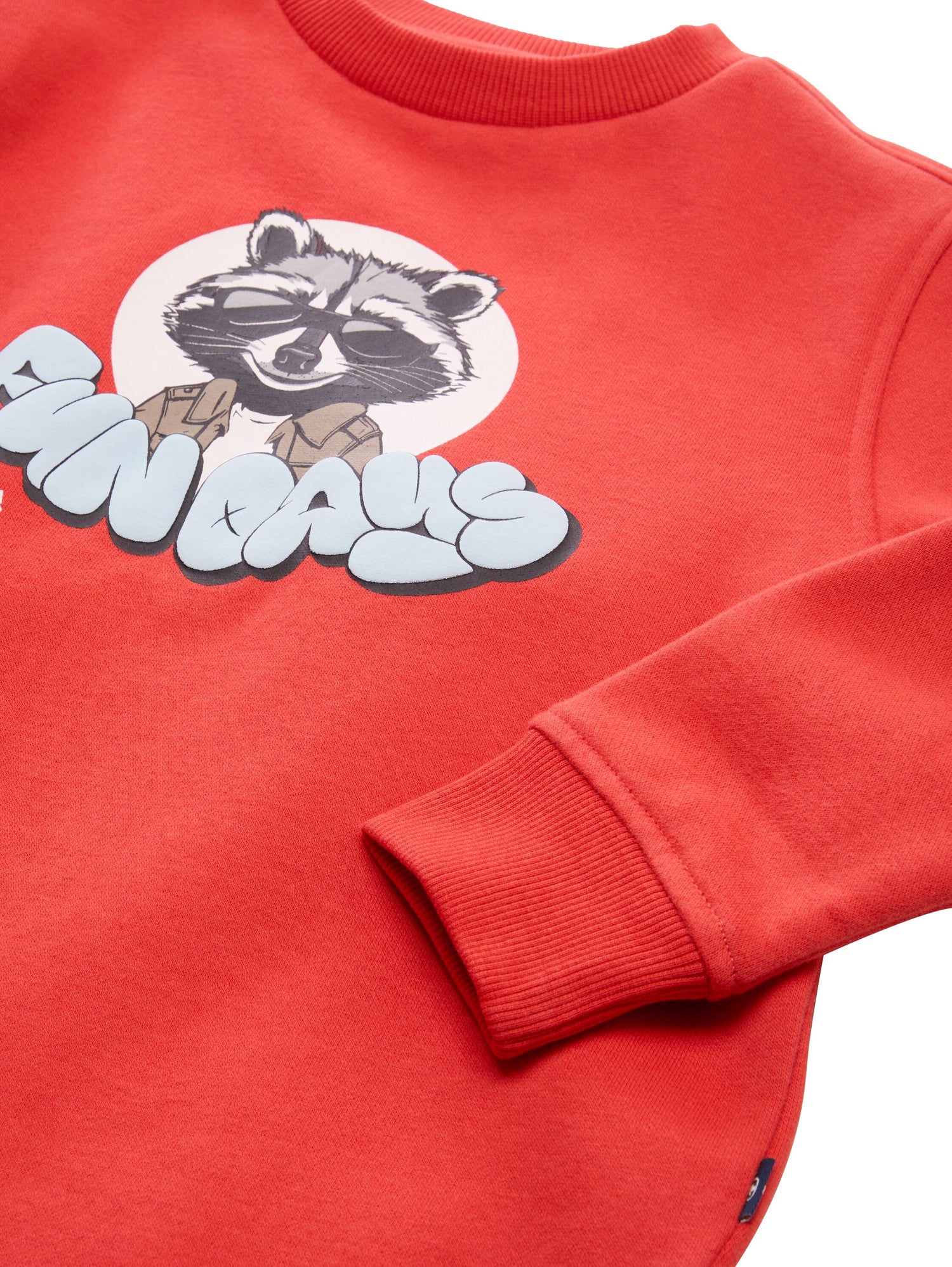 Sweatshirt mit Waschbär-Print
