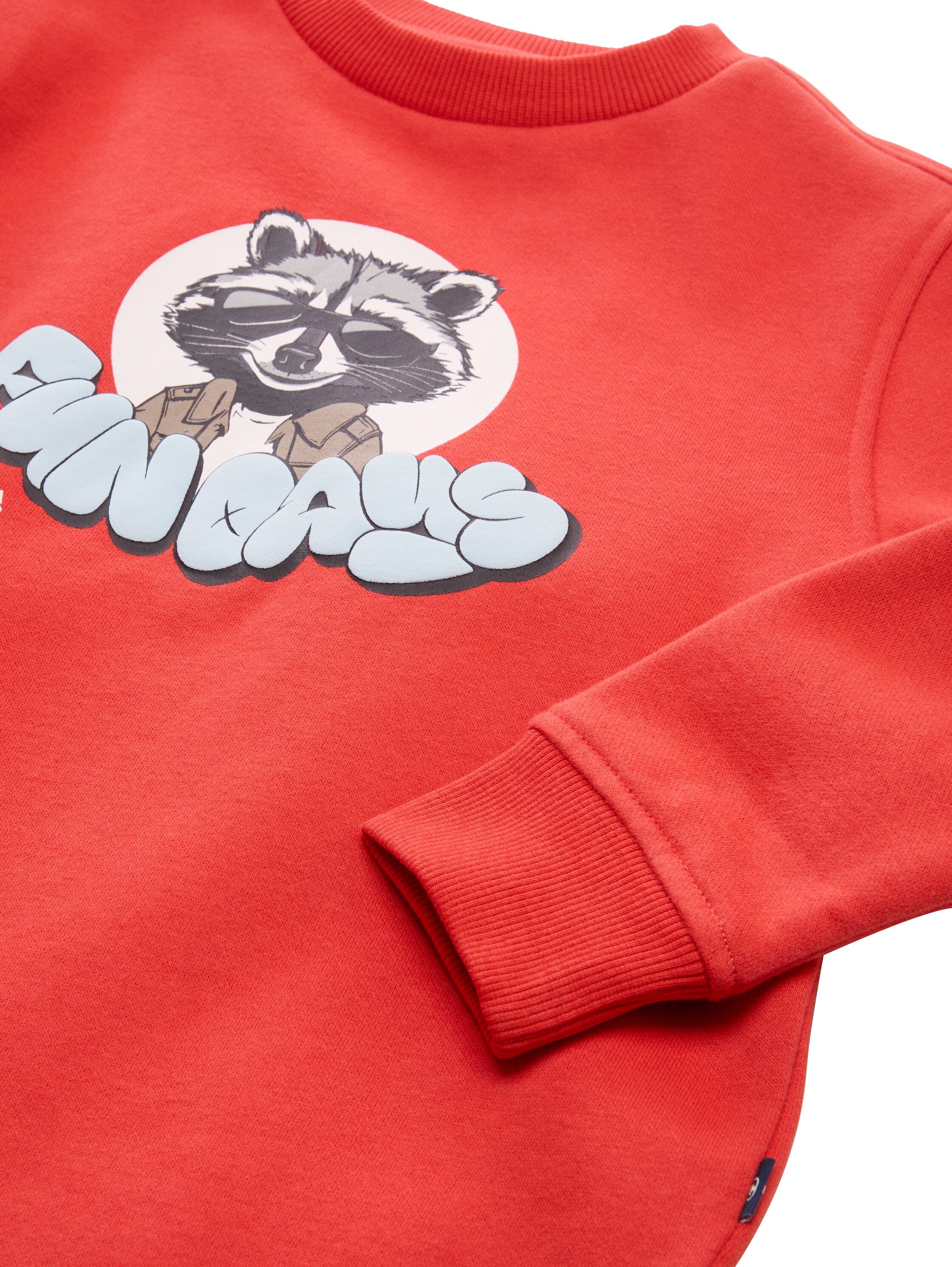 Sweatshirt mit Waschbär-Print