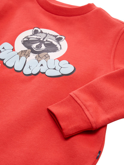 Sweatshirt mit Waschbär-Print