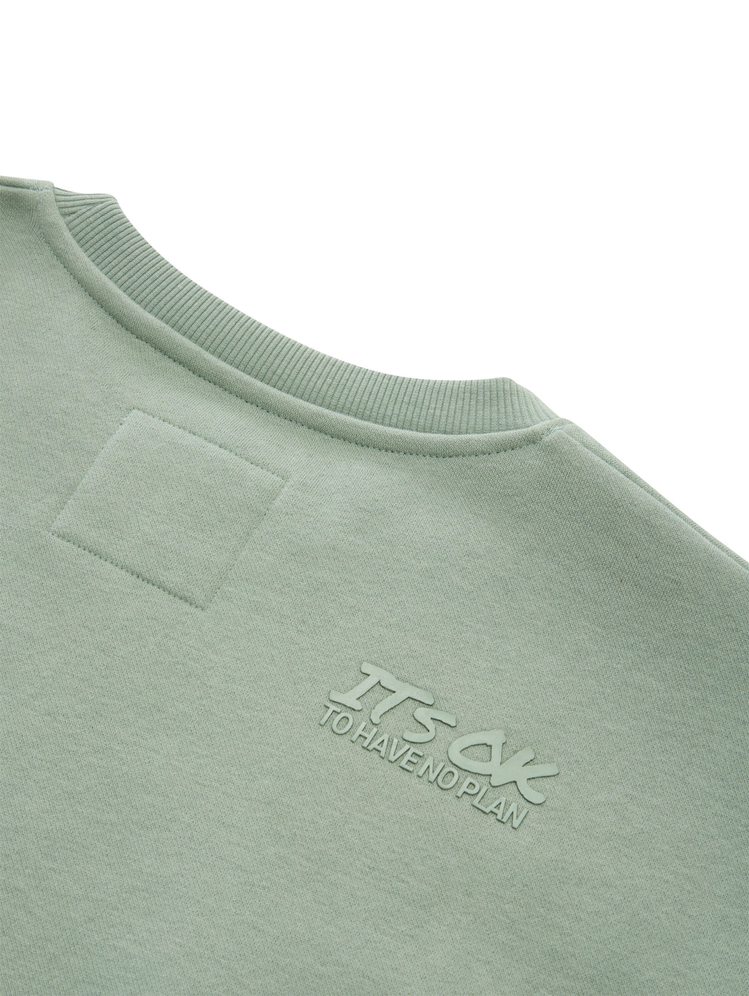 Oversize Sweatshirt mit Rückenprint