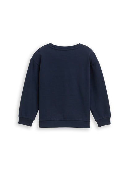 Tom Tailor Denim Male Kinder Oversize Sweatshirt mit Schwanen-Glitzer-Motiv