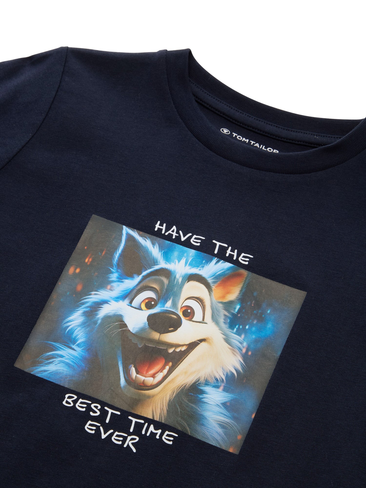 Tom Tailor Denim Male Kinder Longsleeve mit Fotoprint Bio-Baumwolle