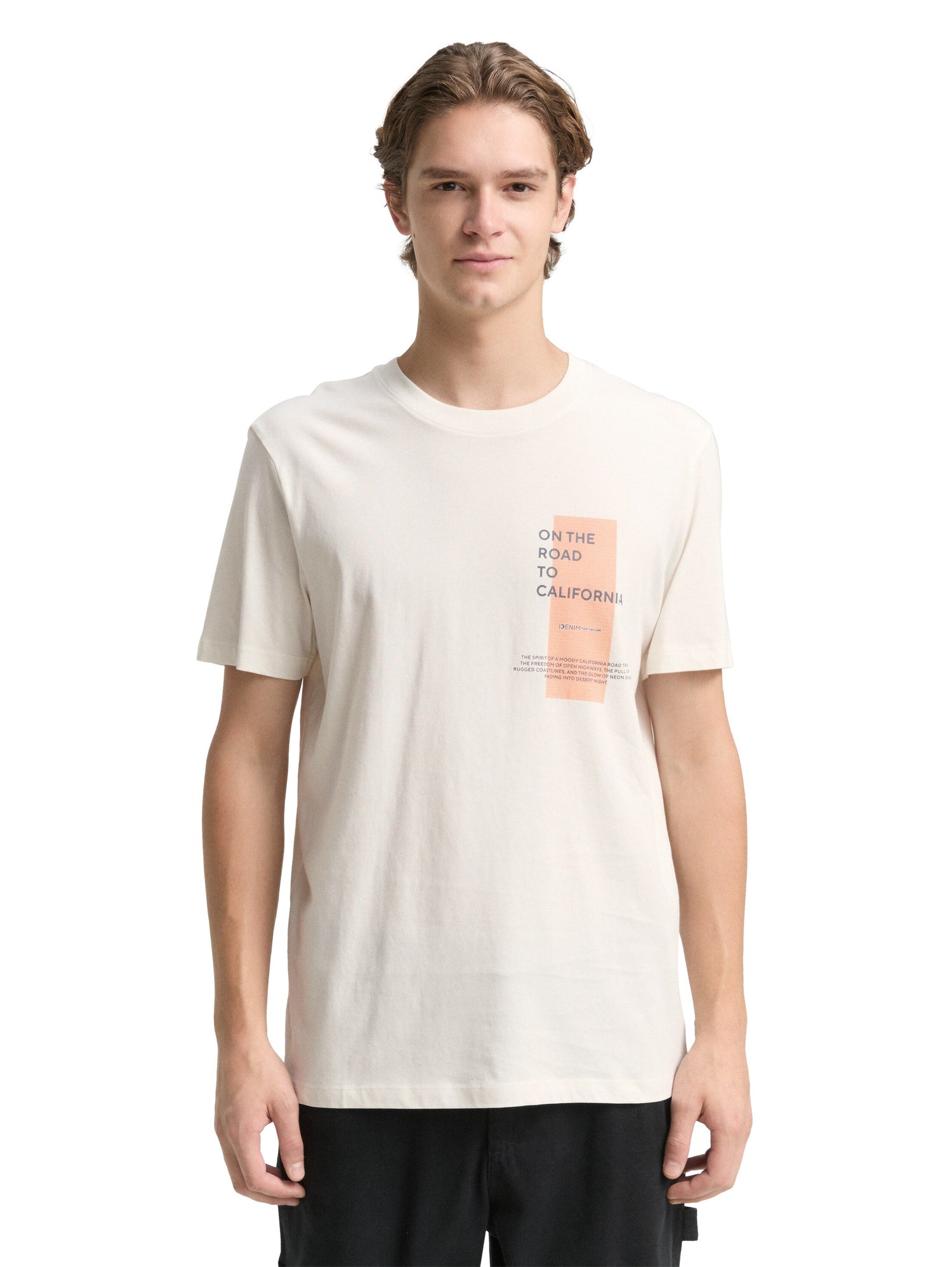 Tom Tailor Denim Male T-Shirt mit Print aus Baumwolle