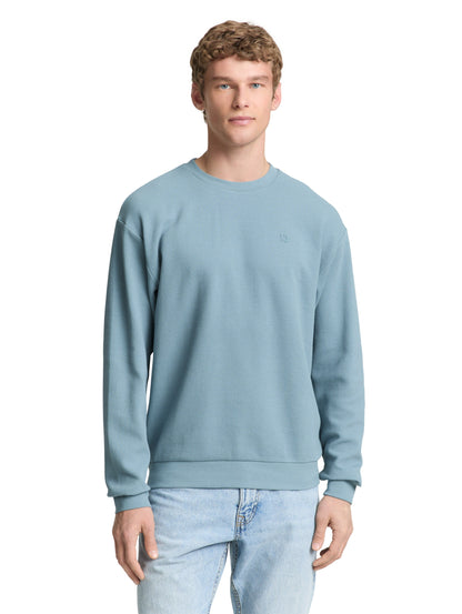 Tom Tailor Denim Herren Sweatshirt Logo Print Baumwolle
