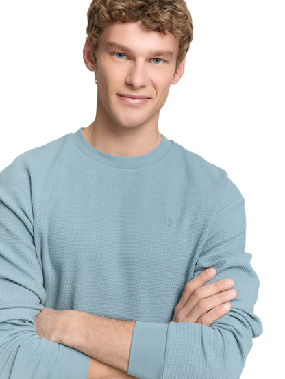 Tom Tailor Denim Herren Sweatshirt Logo Print Baumwolle