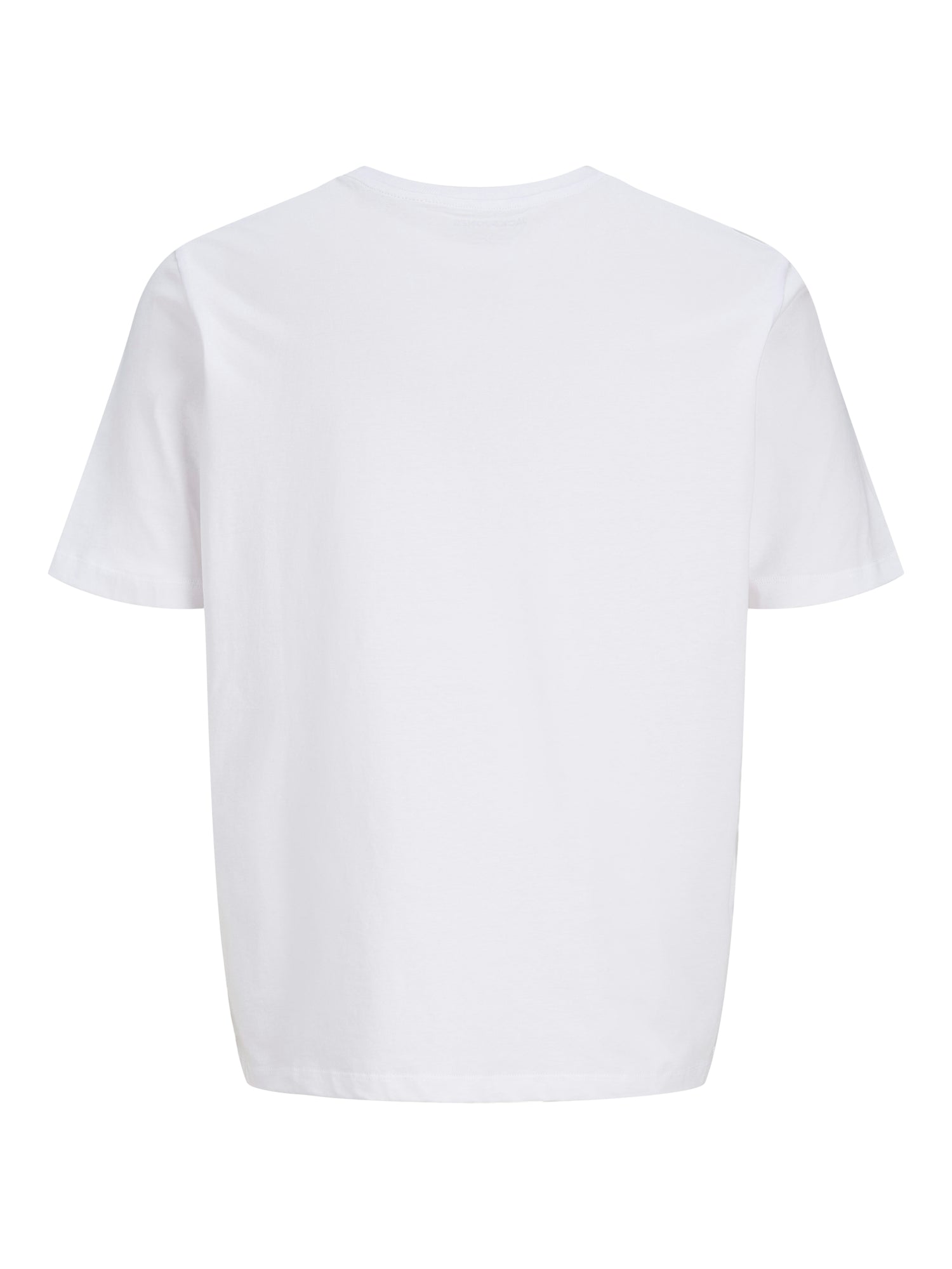 JJHONOLULU SHAPE TEE SS CREW NECK LN