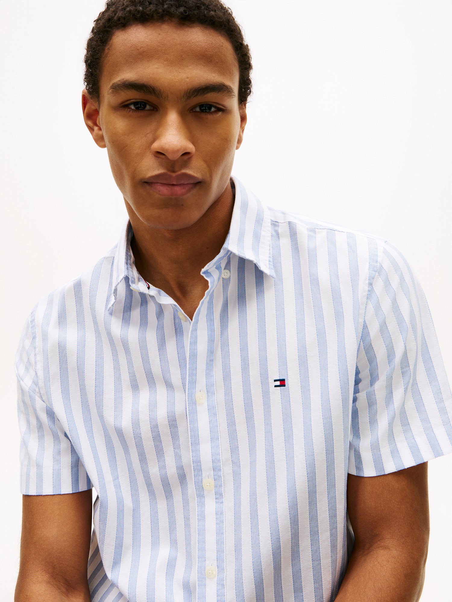 Regular Fit Stripe Short Sleeve Shirt