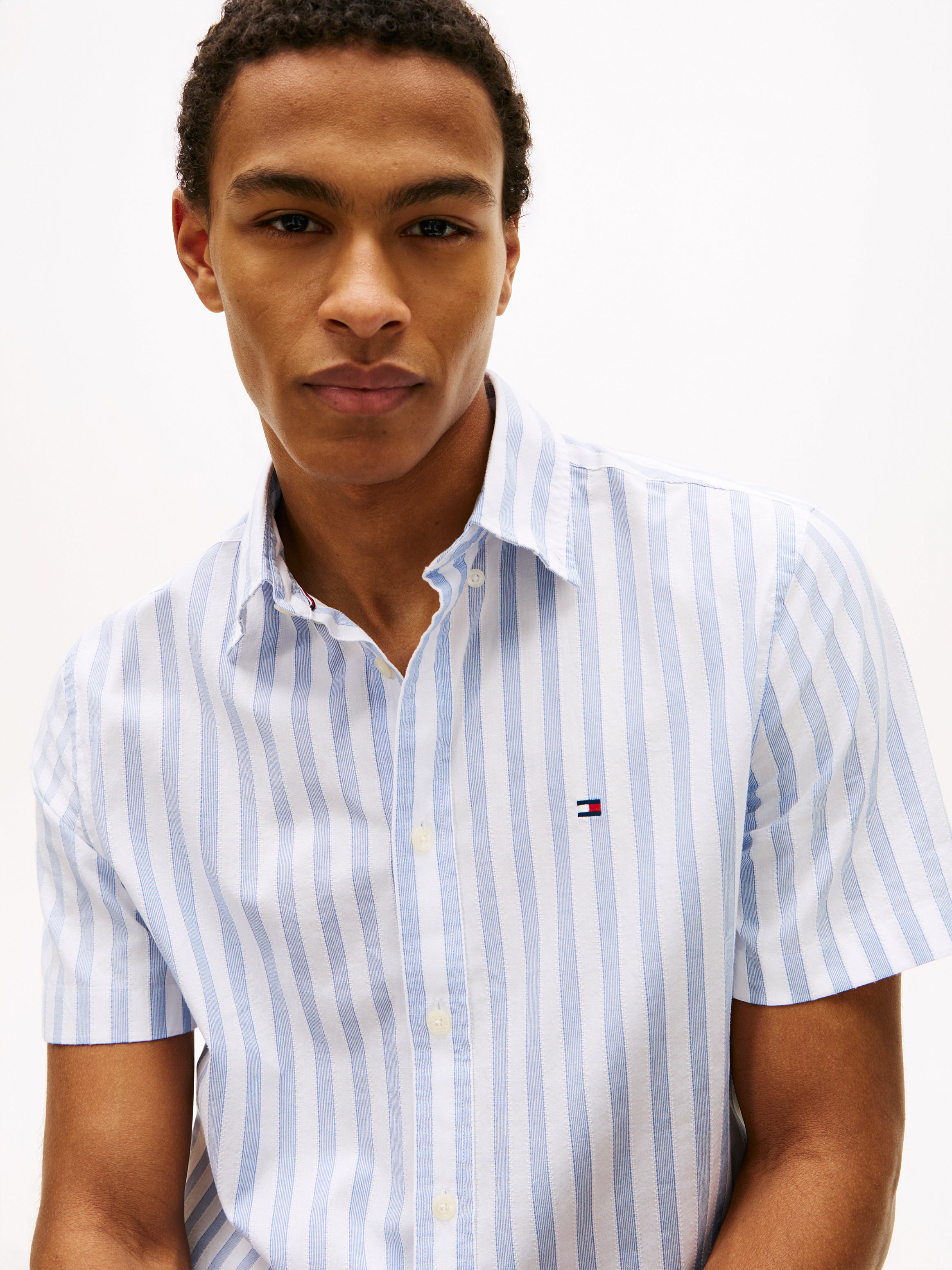 Regular Fit Stripe Short Sleeve Shirt