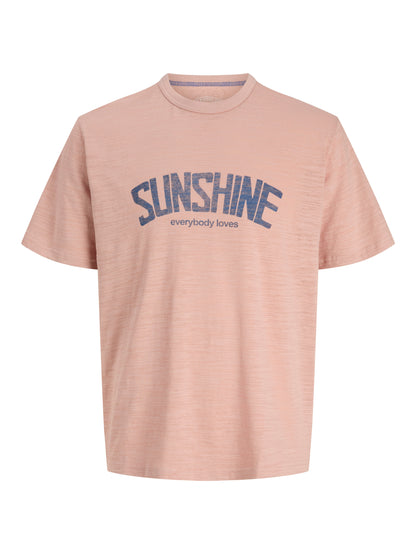 JPRBLUBRAYDEN SS TEE