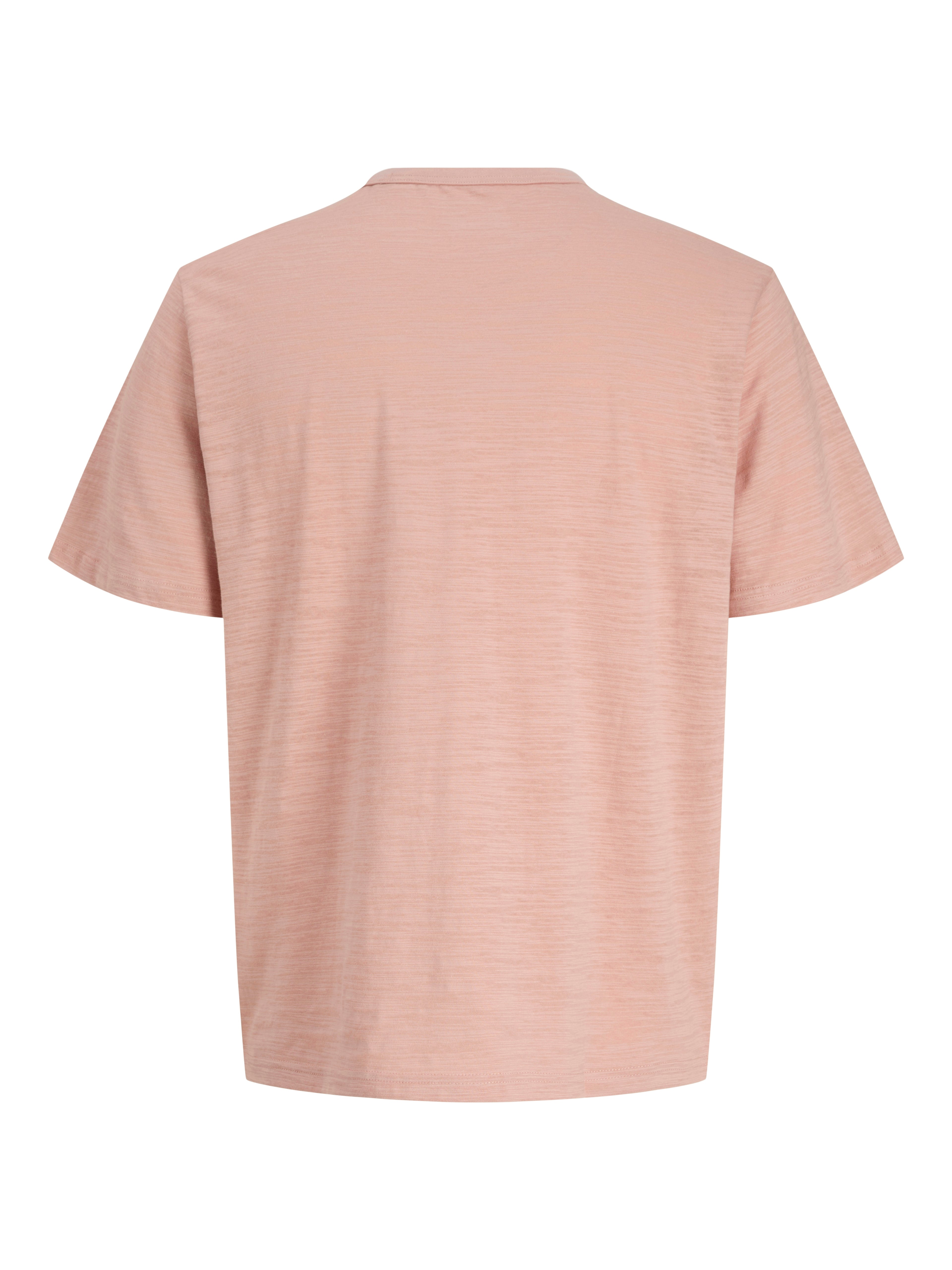 JPRBLUBRAYDEN SS TEE