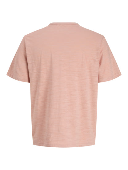 JPRBLUBRAYDEN SS TEE