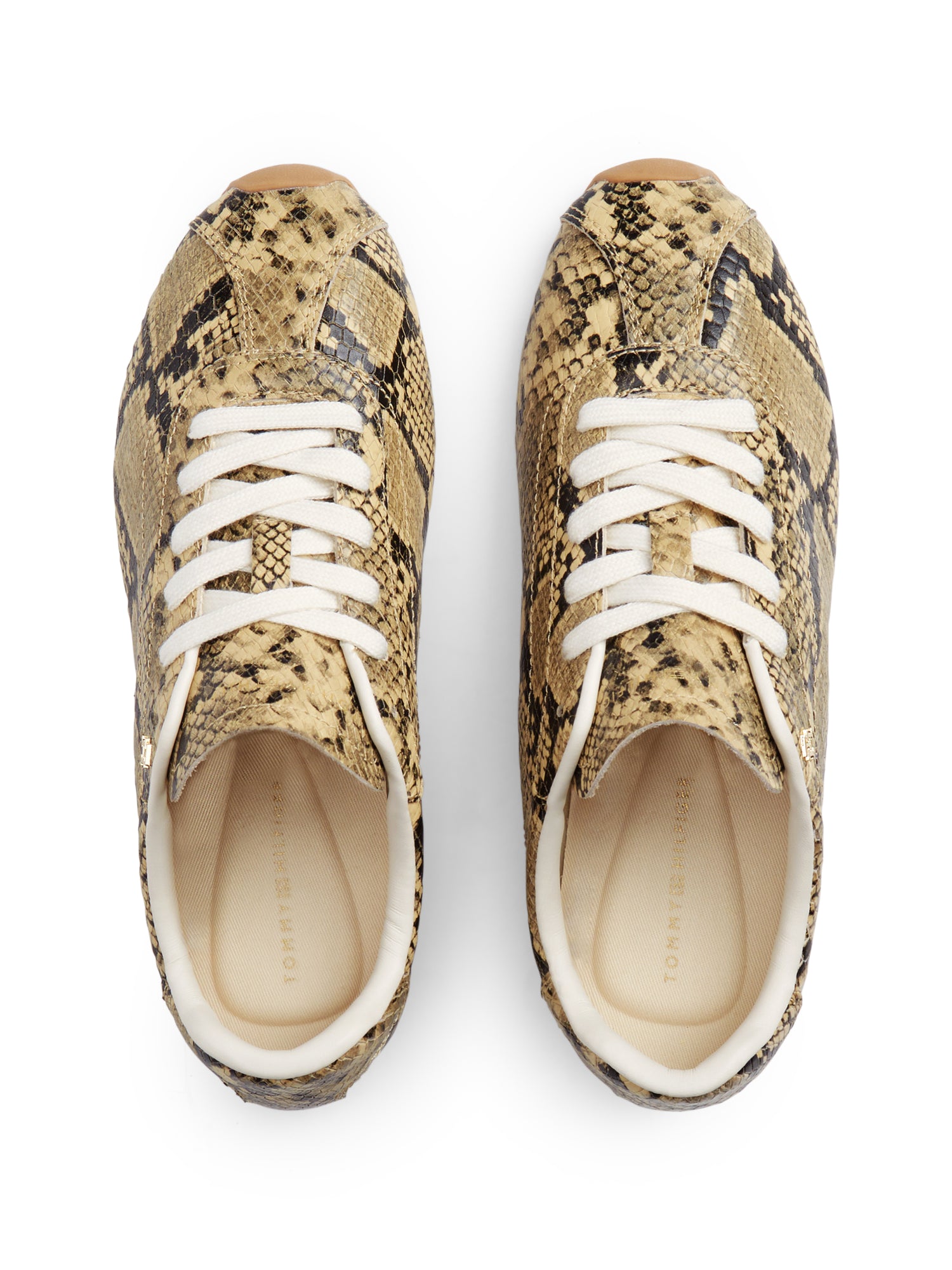 BELLA SNEAKER SNAKE