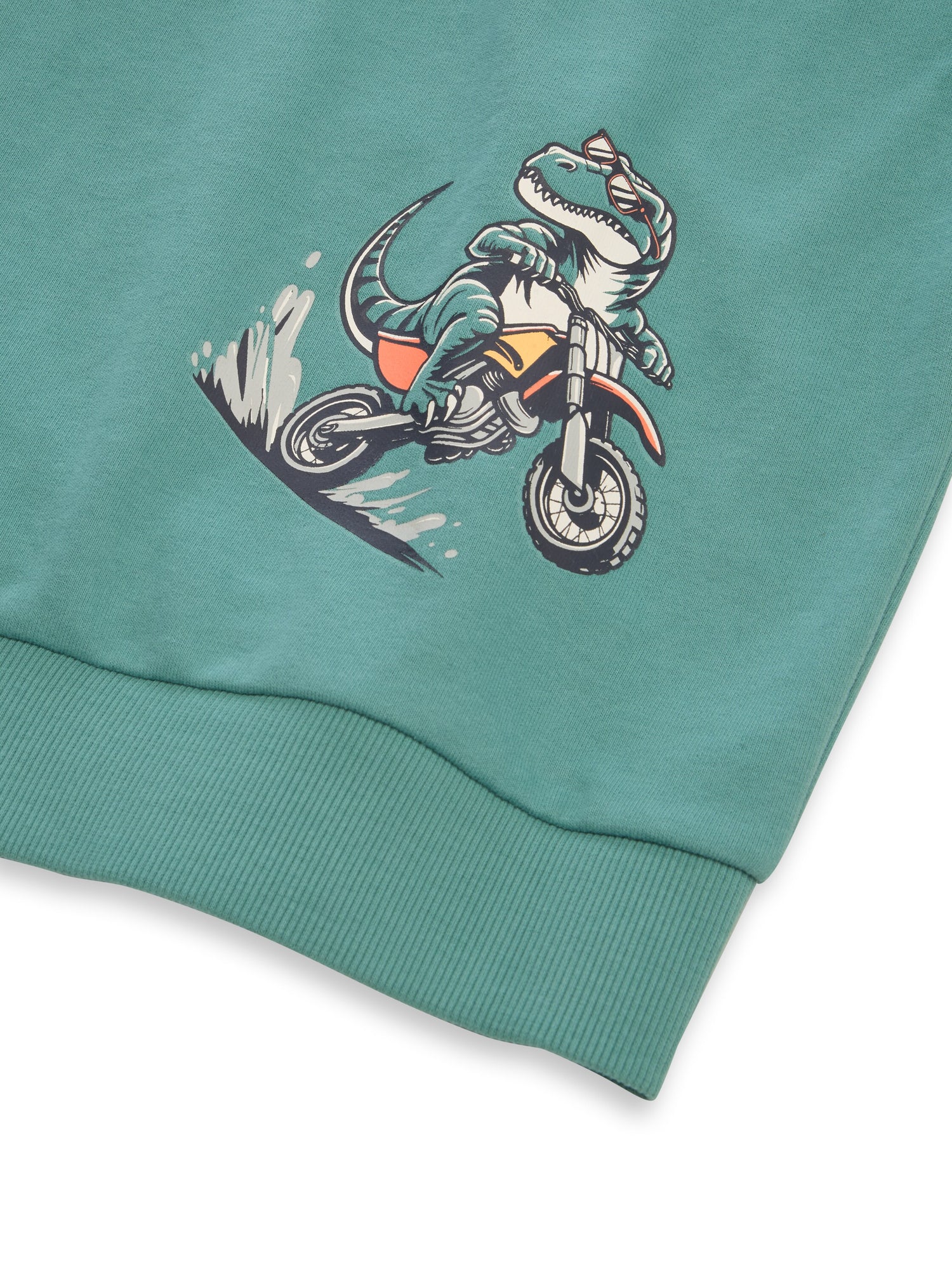 Hoodie Sweatshirt mit Rückenprint