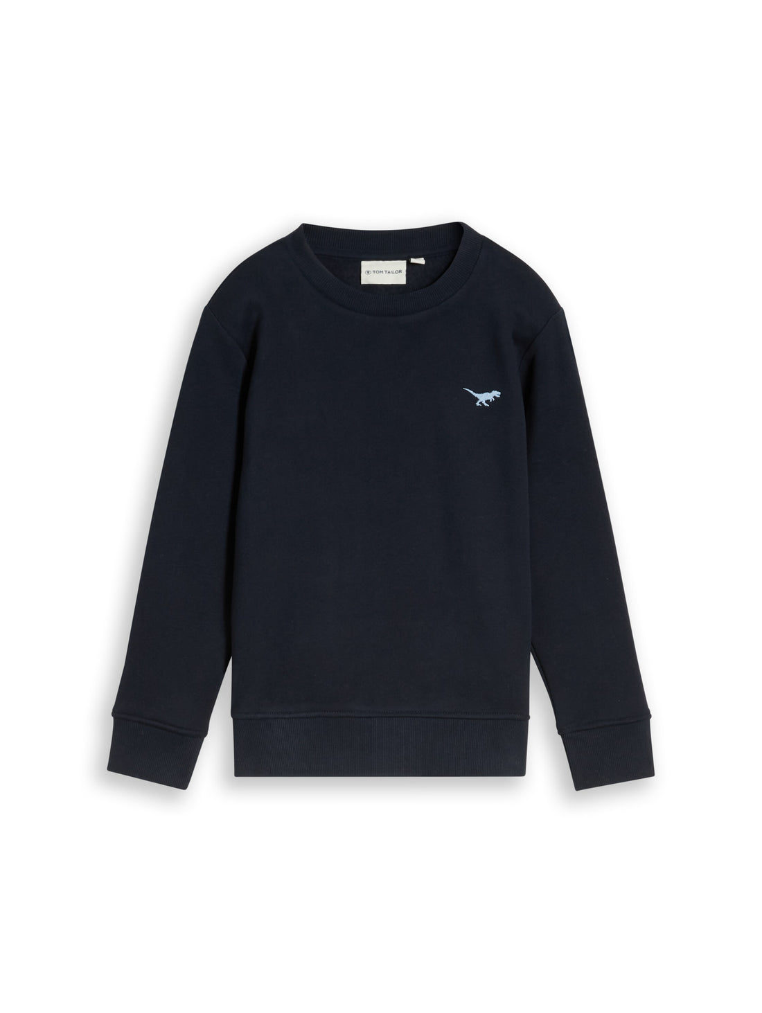 Sweatshirt mit Dino-Stickerei