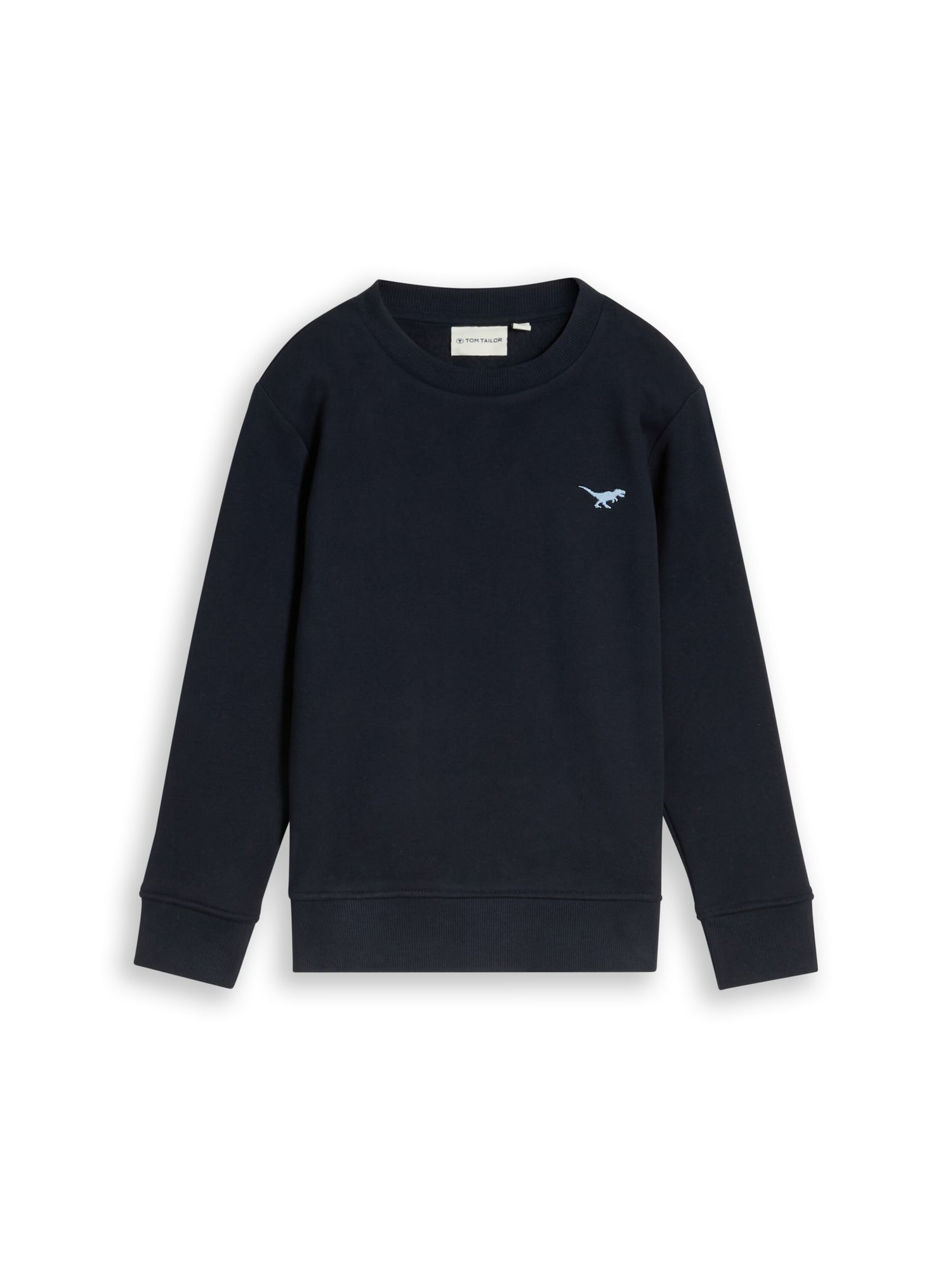 Sweatshirt mit Dino-Stickerei