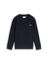 Sweatshirt mit Dino-Stickerei