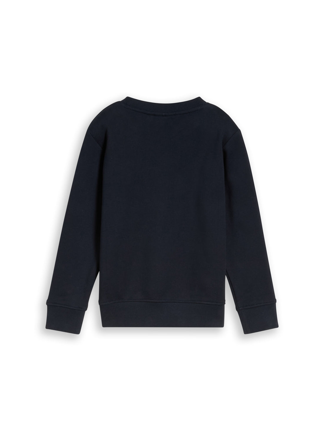 Sweatshirt mit Dino-Stickerei