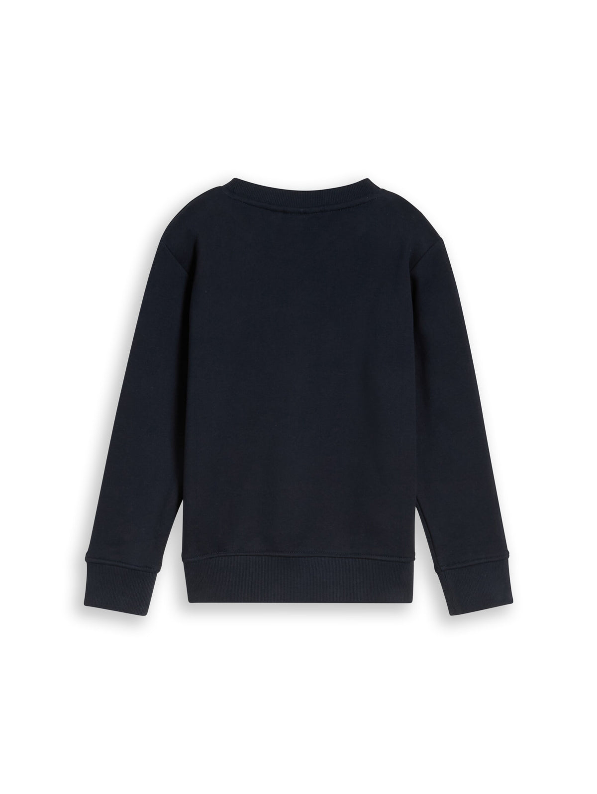 Sweatshirt mit Dino-Stickerei