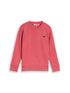 Sweatshirt mit Dino-Stickerei