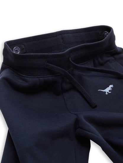 Jogginghose mit Dino-Stickerei