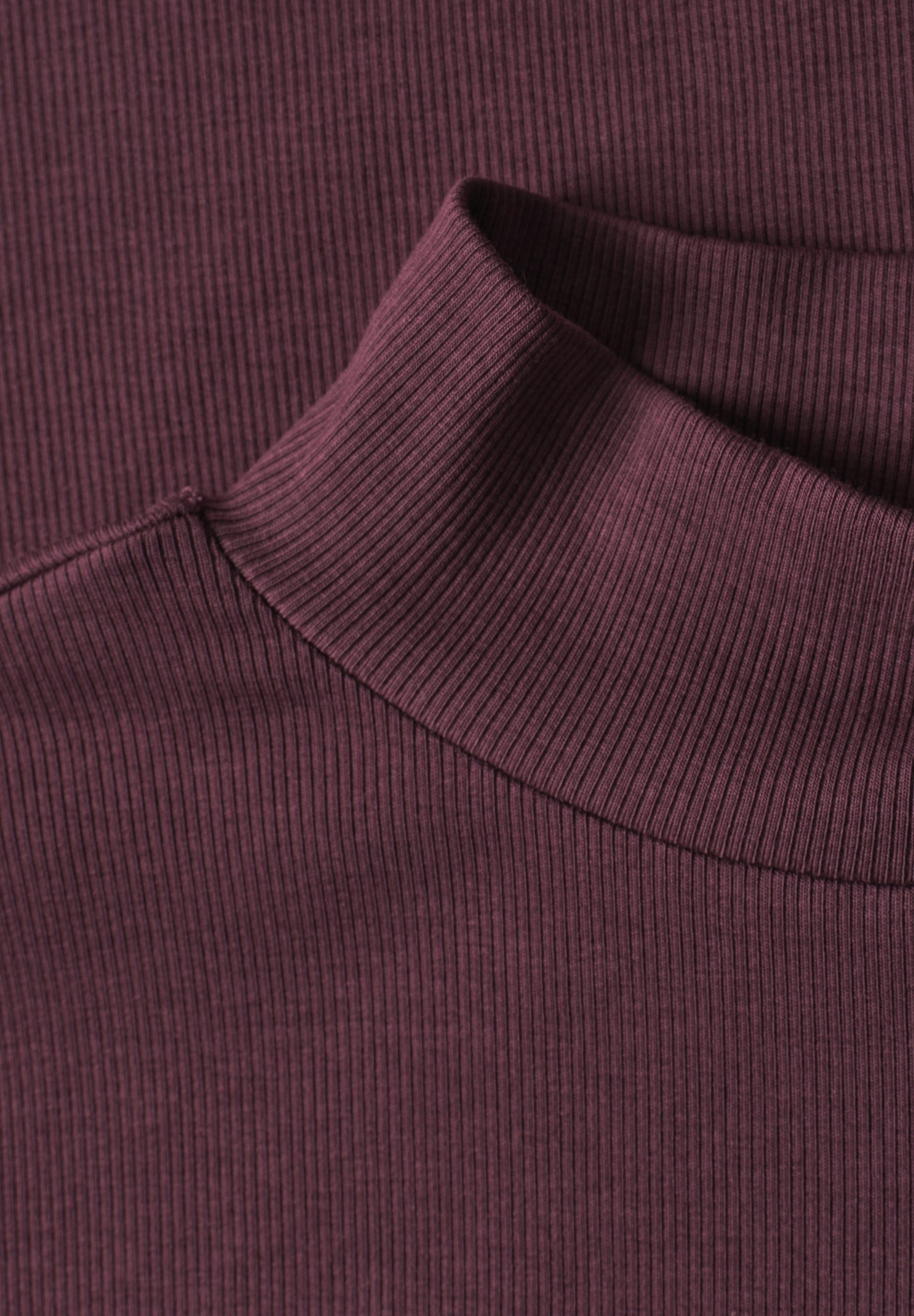 T-Shirt mit Turtle Neck in Rippstruktur