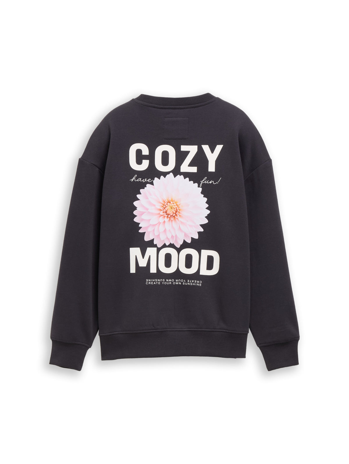 Oversize Sweatshirt mit Rückenprint