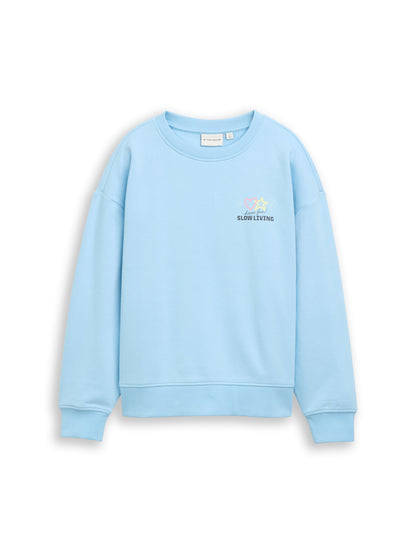 Oversize Sweatshirt mit Rückenprint